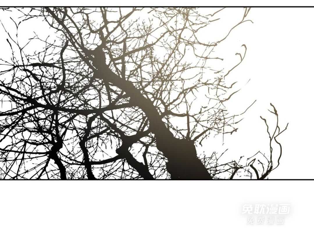 同情的形式（共3季） 第289话 第5页