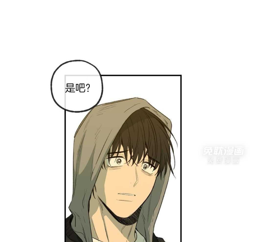 同情的形式（共3季） 第292话 第36页