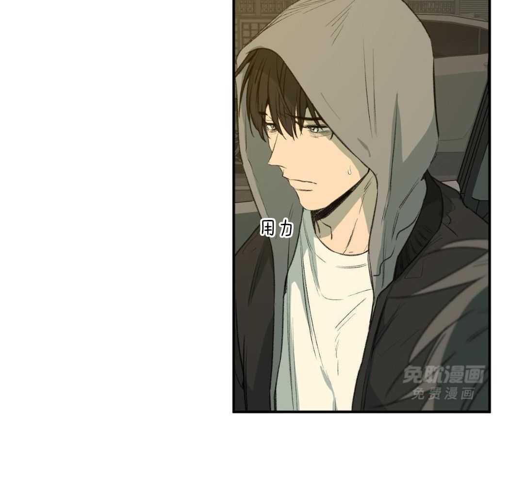 同情的形式（共3季） 第293话 第14页