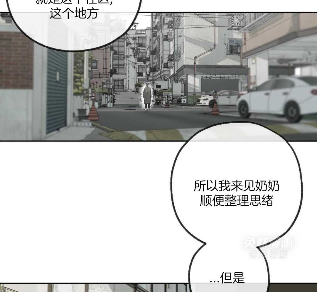 同情的形式（共3季） 第293话 第26页