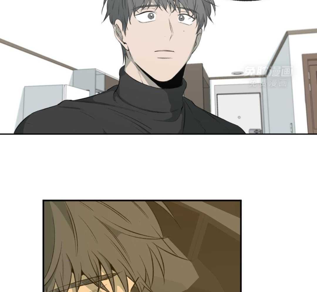 同情的形式（共3季） 第293话 第37页