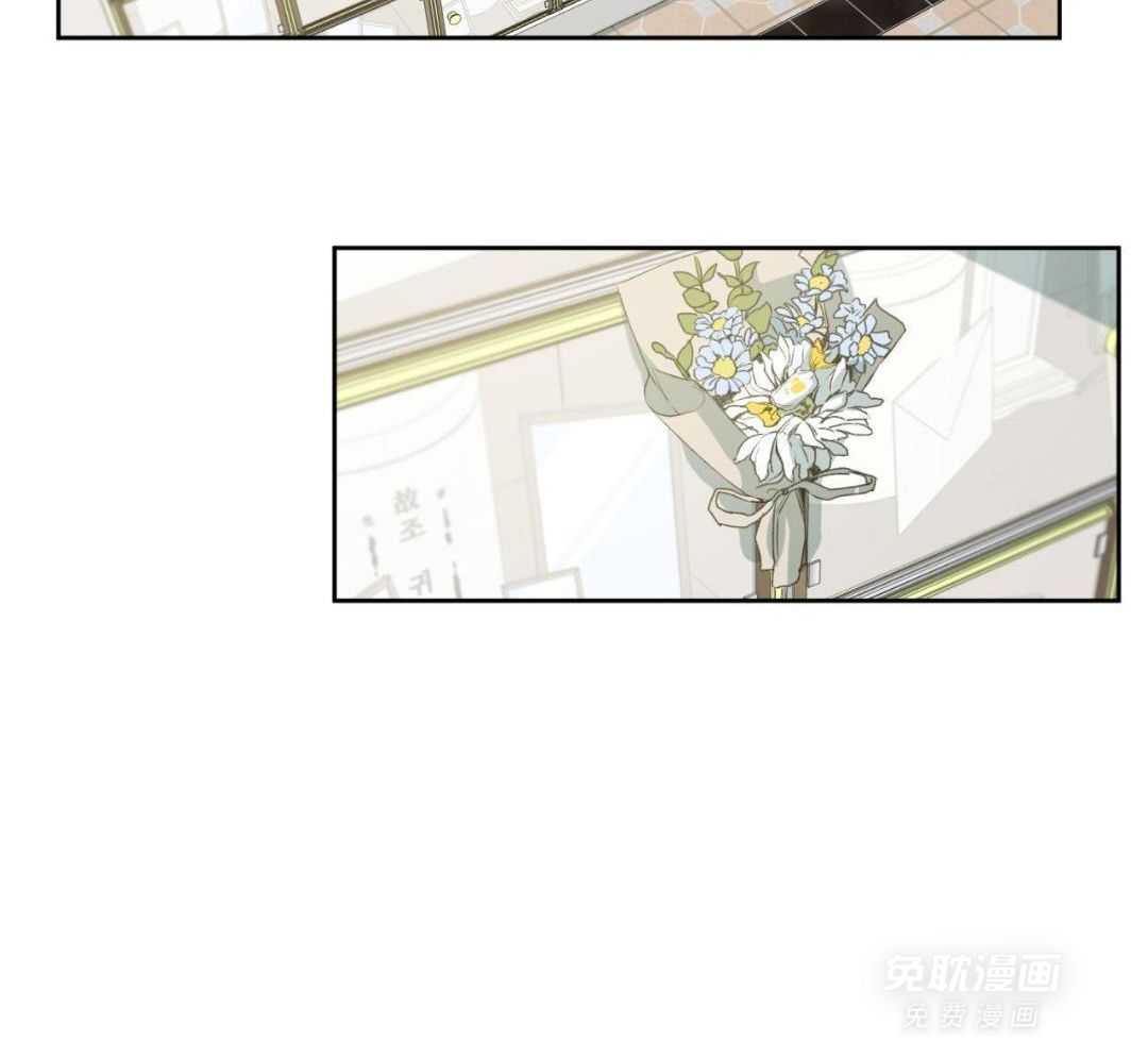 同情的形式（共3季） 第294话 第47页