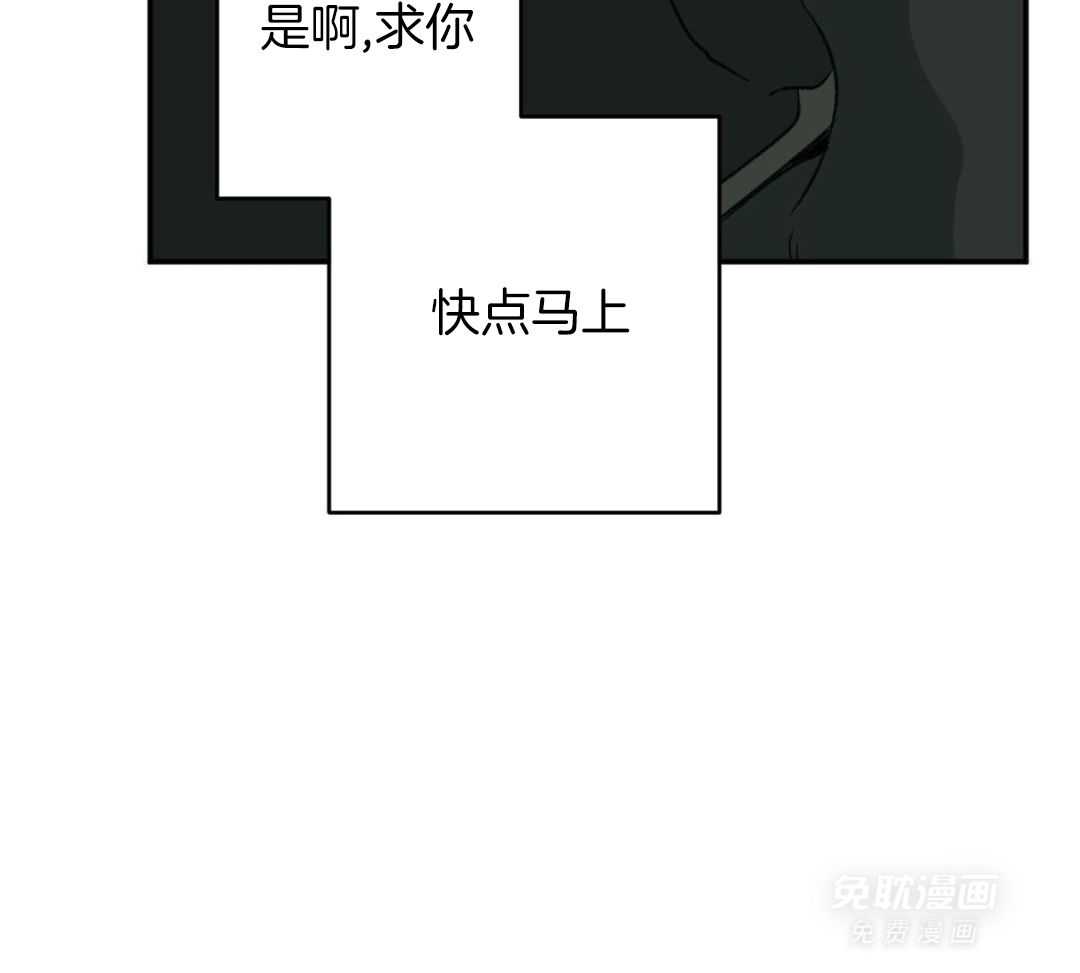 同情的形式（共3季）第295话图