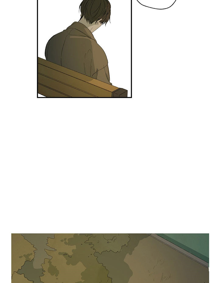 同情的形式（共3季） 第37话 第11页