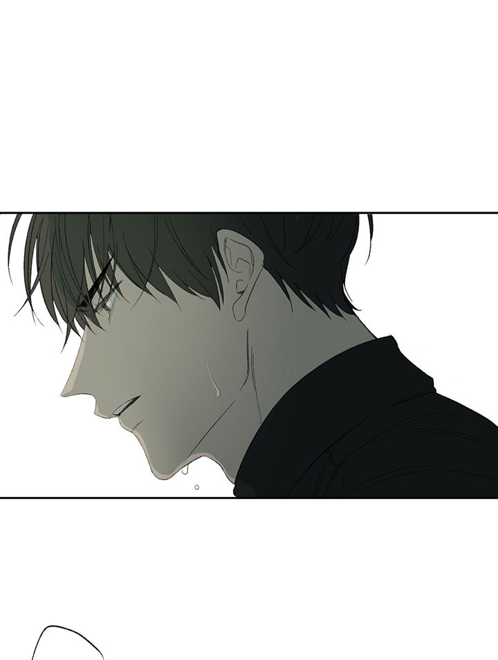 同情的形式（共3季） 第41话 第1页