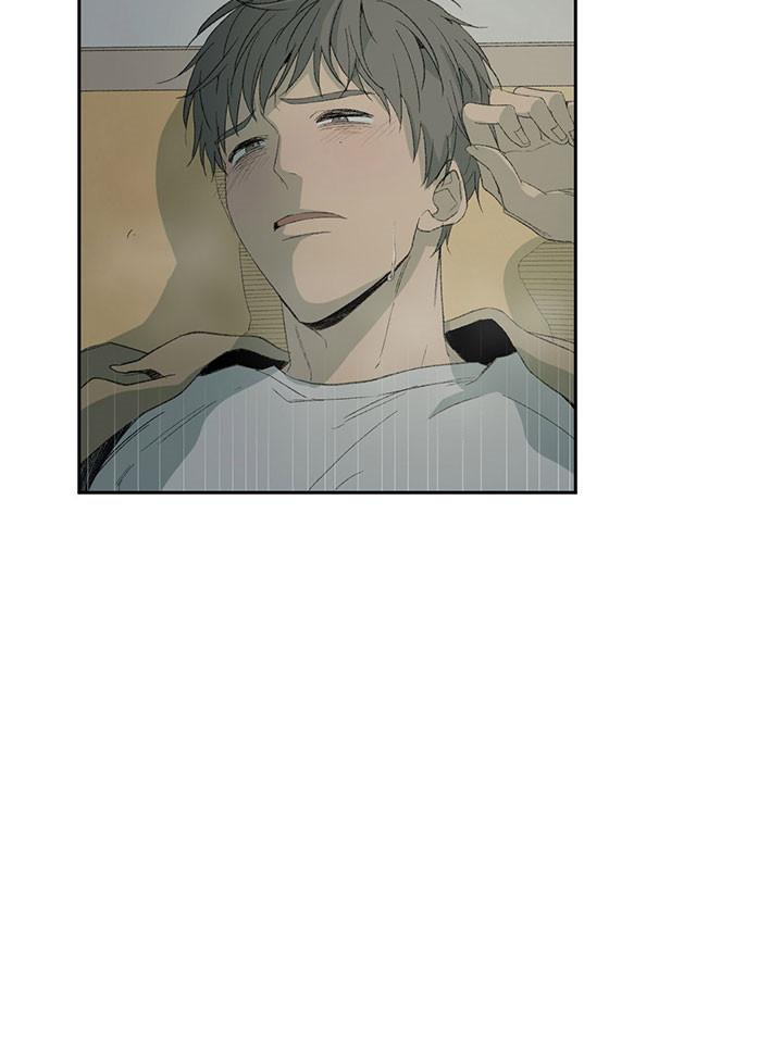 同情的形式（共3季） 第41话 第3页