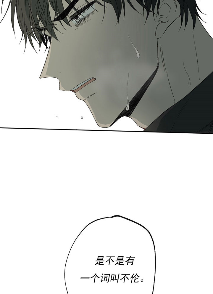 同情的形式（共3季） 第41话 第14页