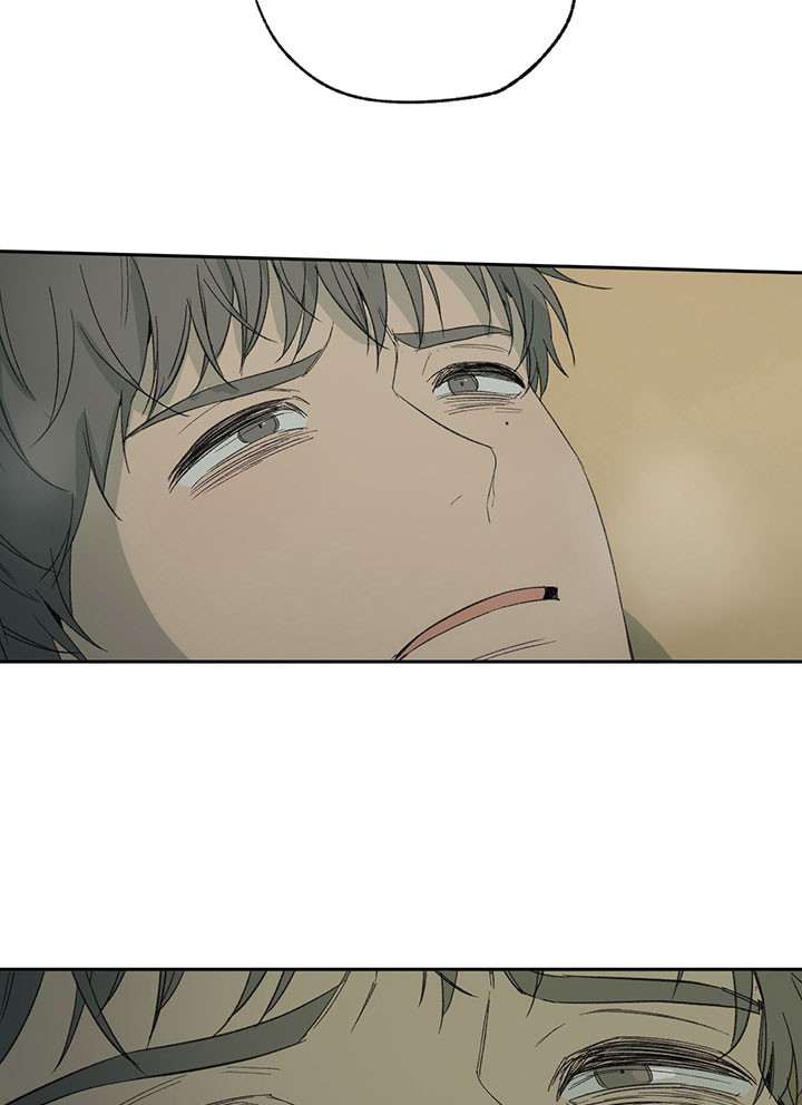 同情的形式（共3季） 第41话 第15页