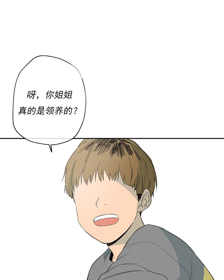 同情的形式（共3季） 第42话 第13页