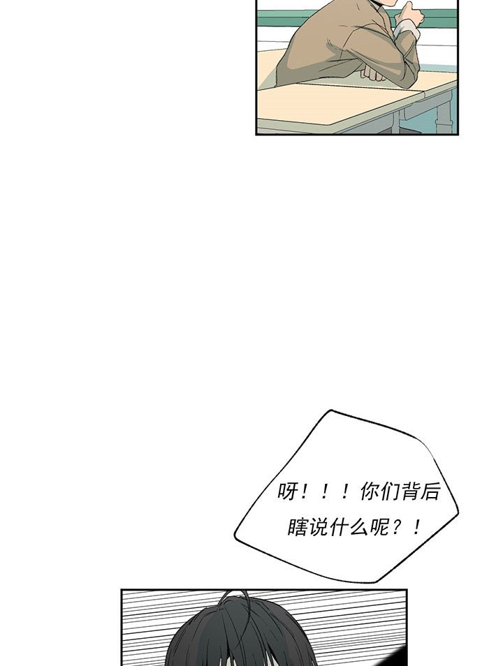 同情的形式（共3季） 第42话 第19页