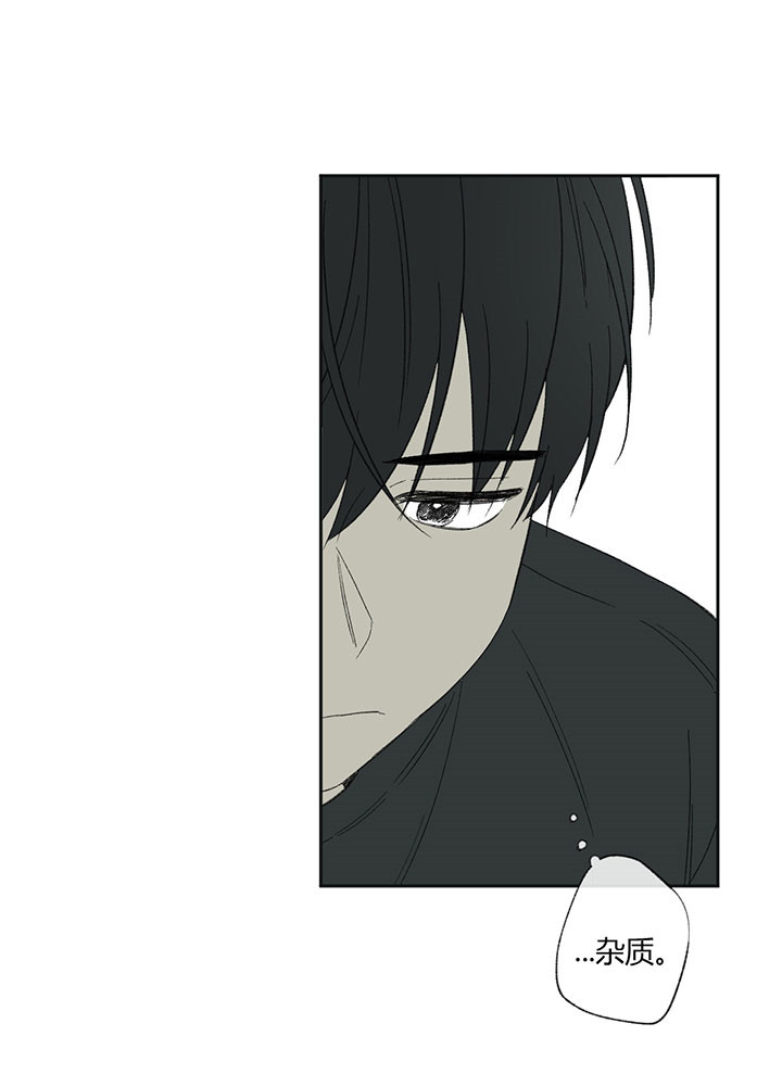 同情的形式（共3季） 第45话 第13页