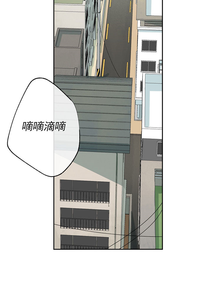同情的形式（共3季）第48话图