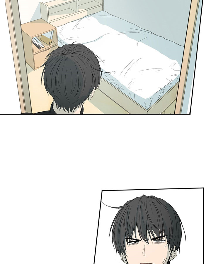 同情的形式（共3季）第49话图