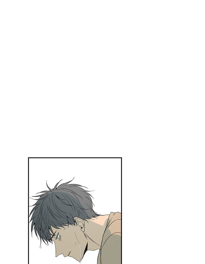 同情的形式（共3季）第50话图