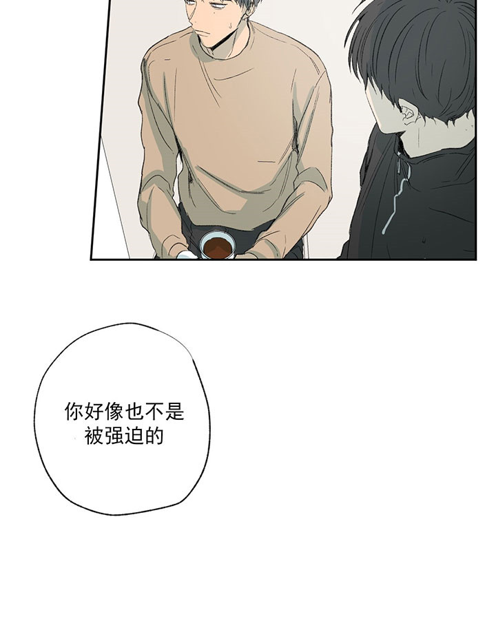 同情的形式（共3季）第51话图