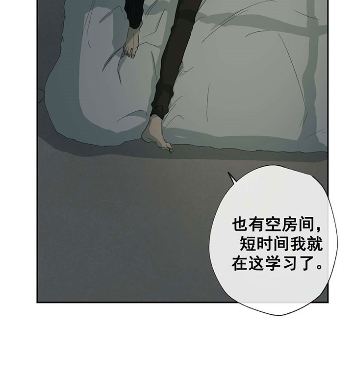 同情的形式（共3季）第62话图