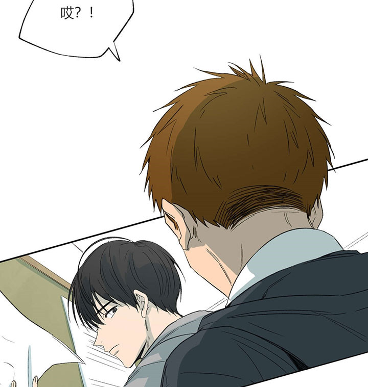 同情的形式（共3季） 第65话 第2页