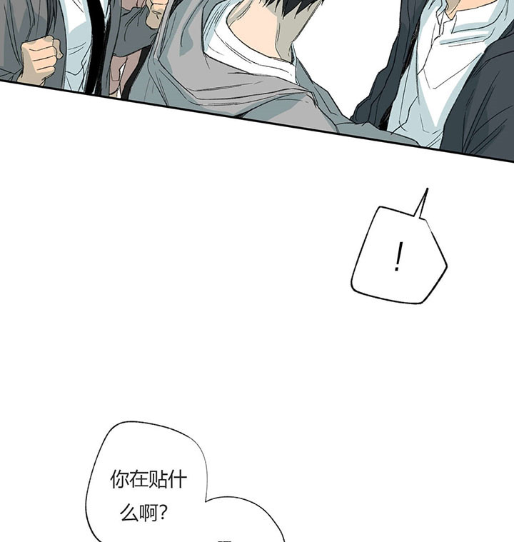 同情的形式（共3季） 第65话 第10页