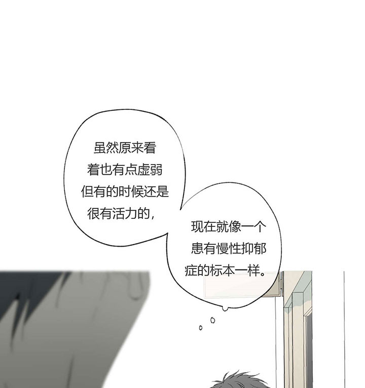 同情的形式（共3季） 第66话 第4页