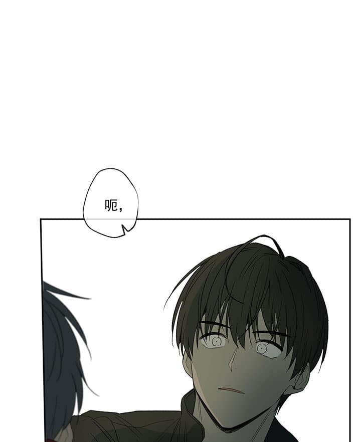 同情的形式（共3季） 第69话 第14页