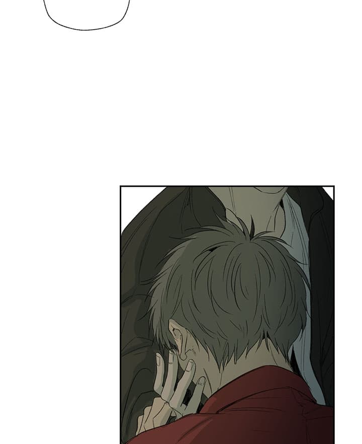 同情的形式（共3季） 第69话 第17页