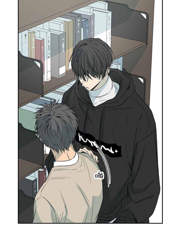 同情的形式（共3季） 第73话 第17页