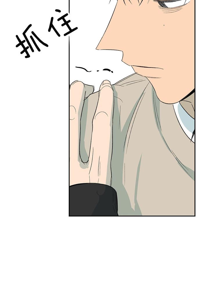 同情的形式（共3季） 第73话 第19页