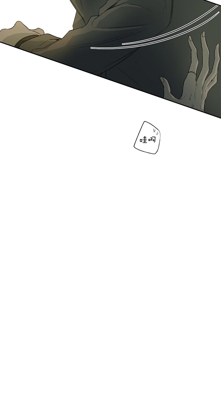 同情的形式（共3季） 第78话 第14页