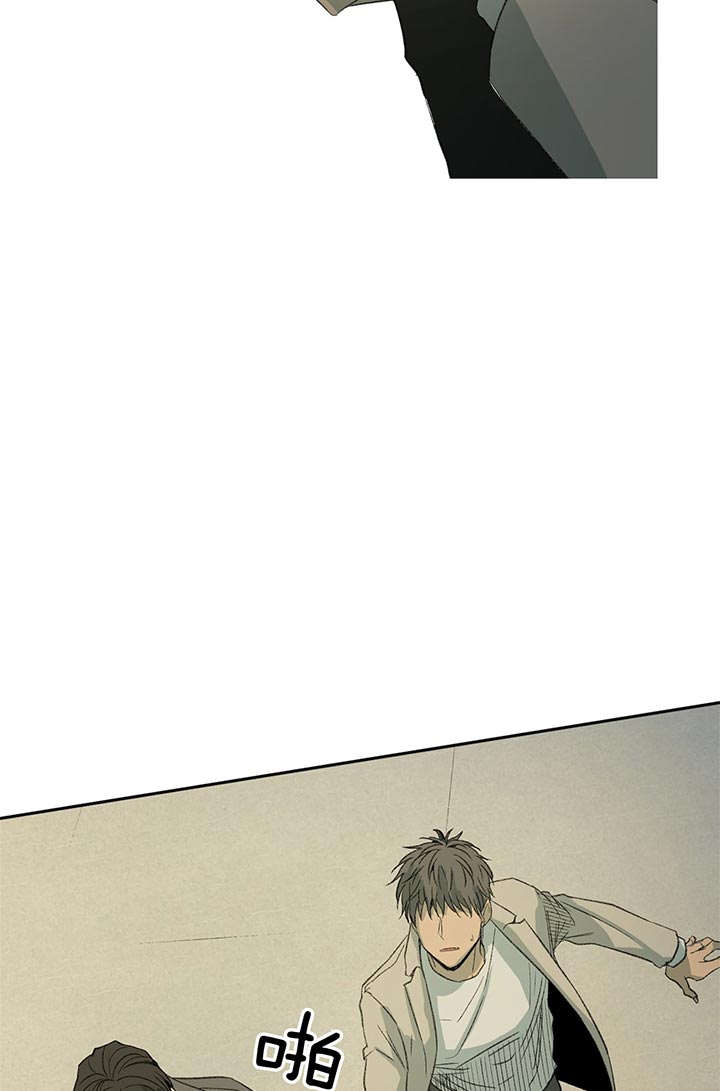 同情的形式（共3季） 第78话 第19页