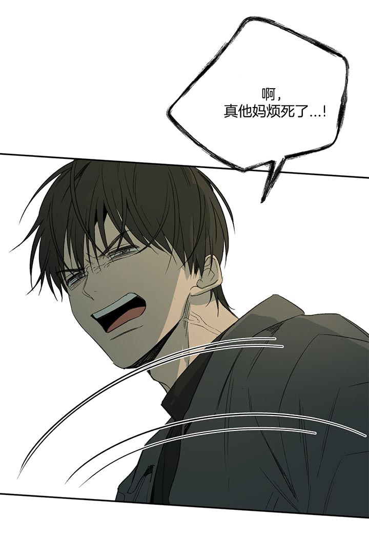 同情的形式（共3季） 第78话 第21页