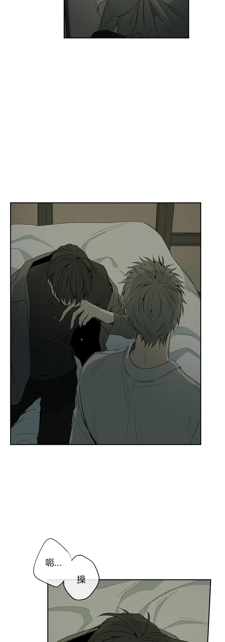 同情的形式（共3季） 第79话 第13页