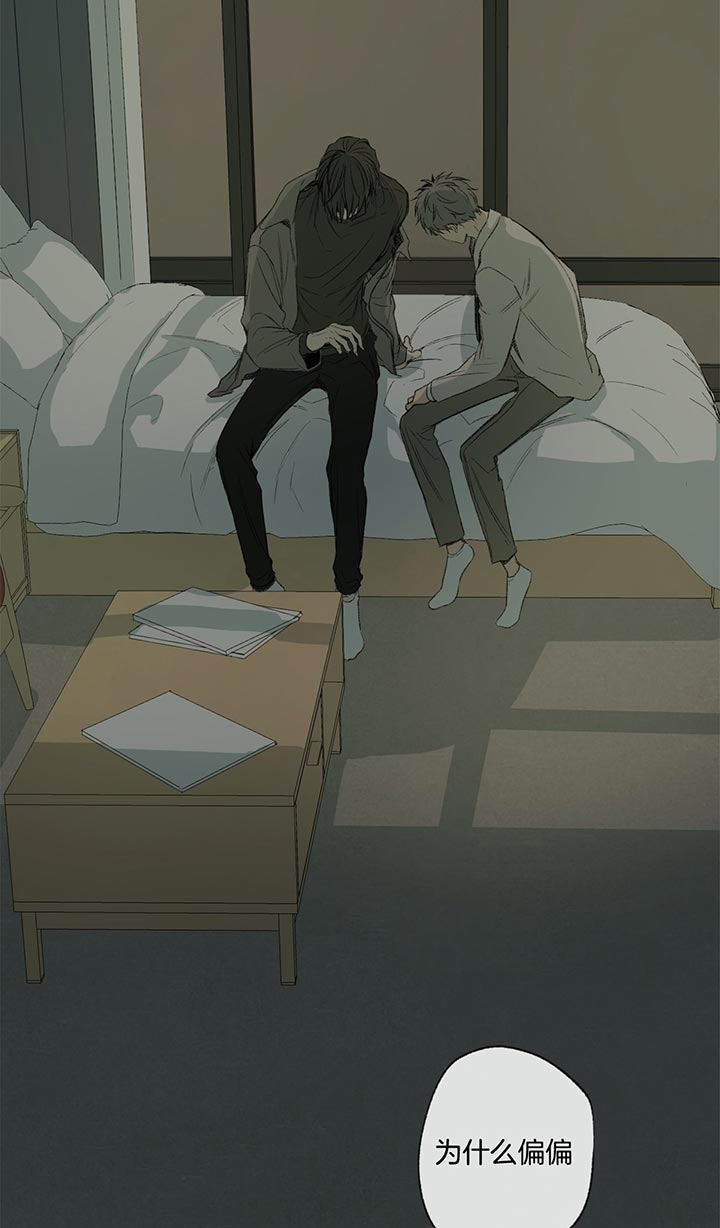 同情的形式（共3季） 第80话 第10页