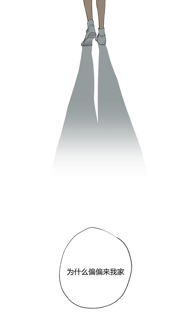 同情的形式（共3季） 第80话 第12页