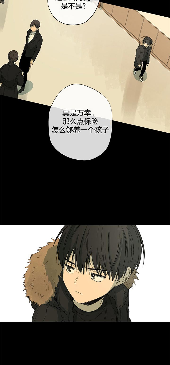 同情的形式（共3季） 第84话 第5页