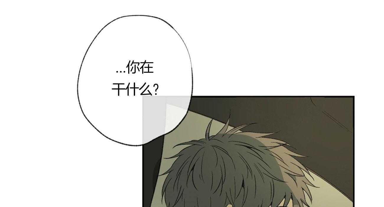 同情的形式（共3季） 第89话 第39页