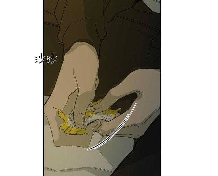 同情的形式（共3季） 第91话 第33页