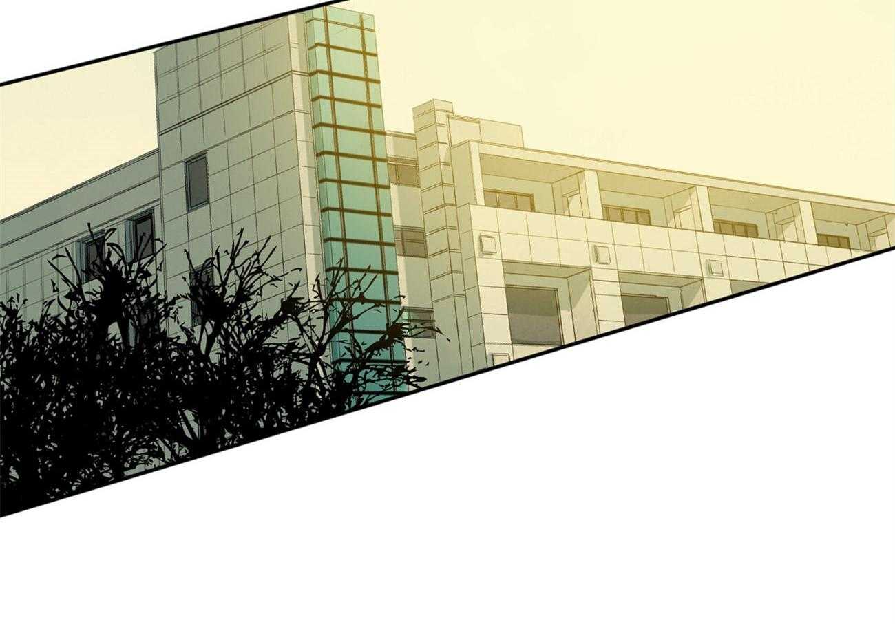 同情的形式（共3季） 第92话 第1页