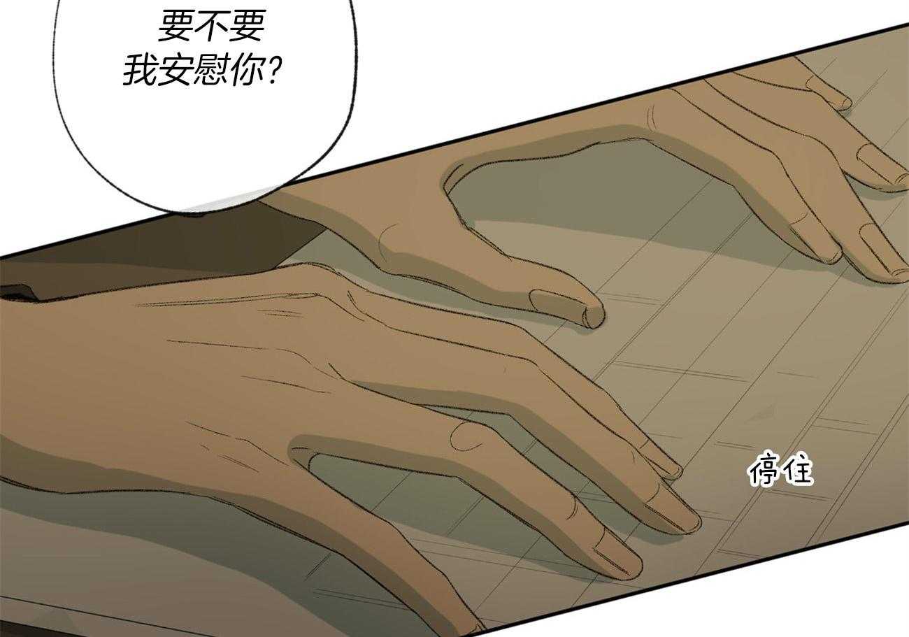 同情的形式（共3季） 第95话 第51页