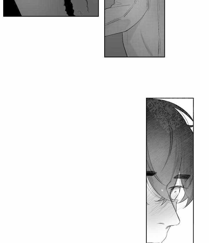 他的触感第39话图