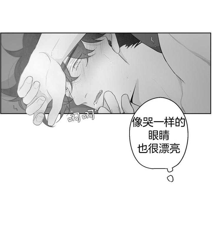 他的触感第94话图