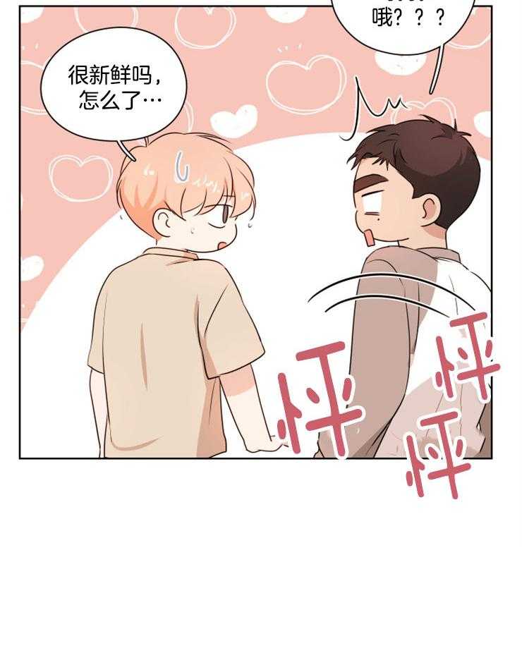 桃皮绒花第19话图