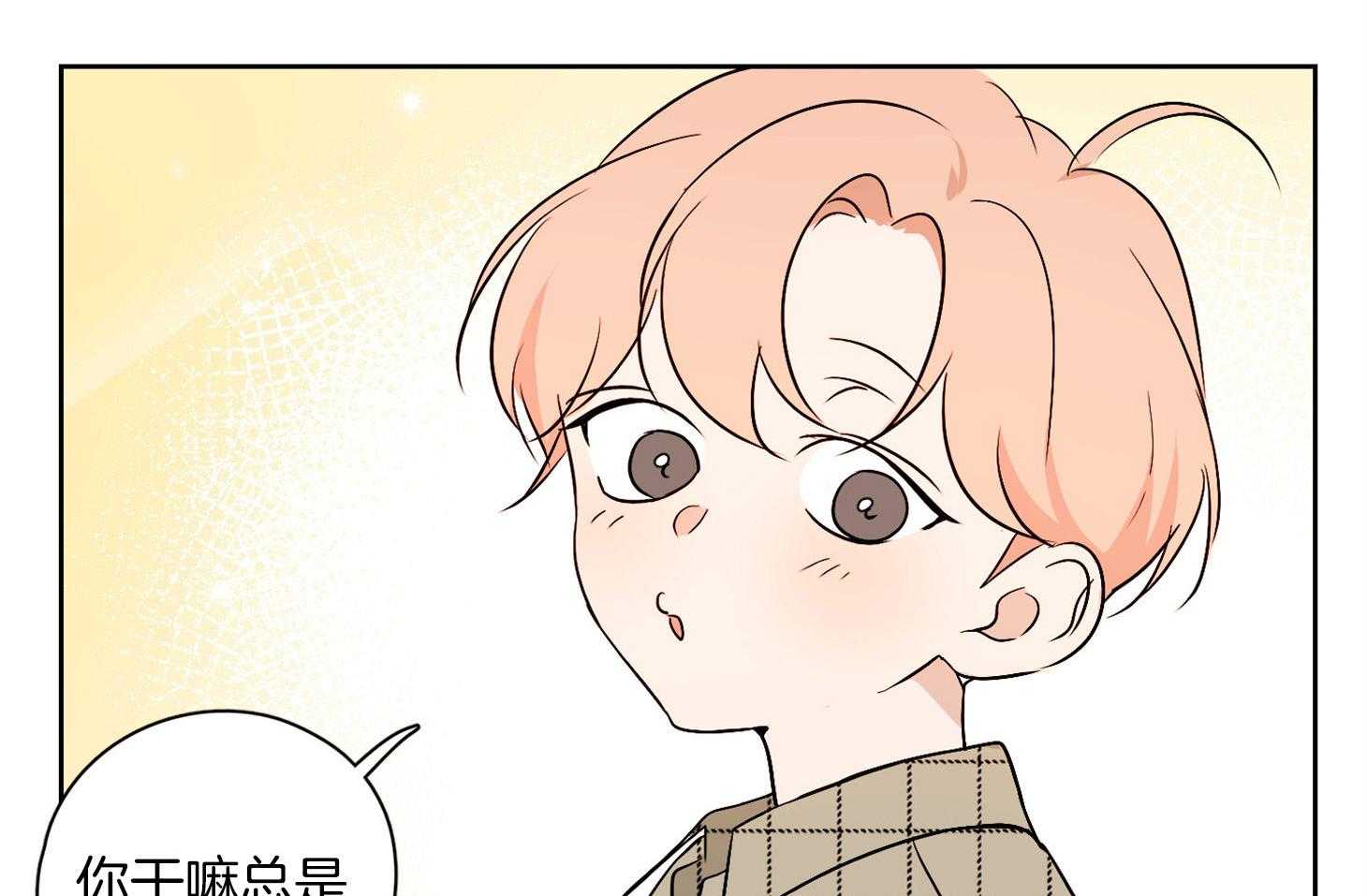 桃皮绒花第44话图