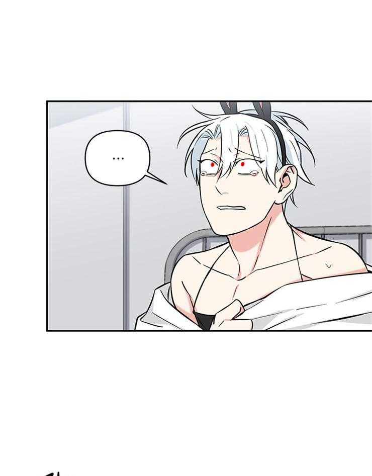 天使兔俱乐部第41话图