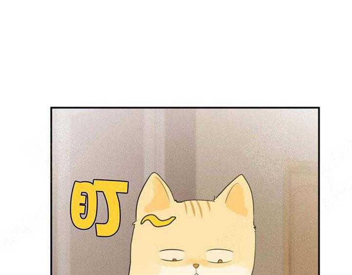 听得到哦，前辈第15话图