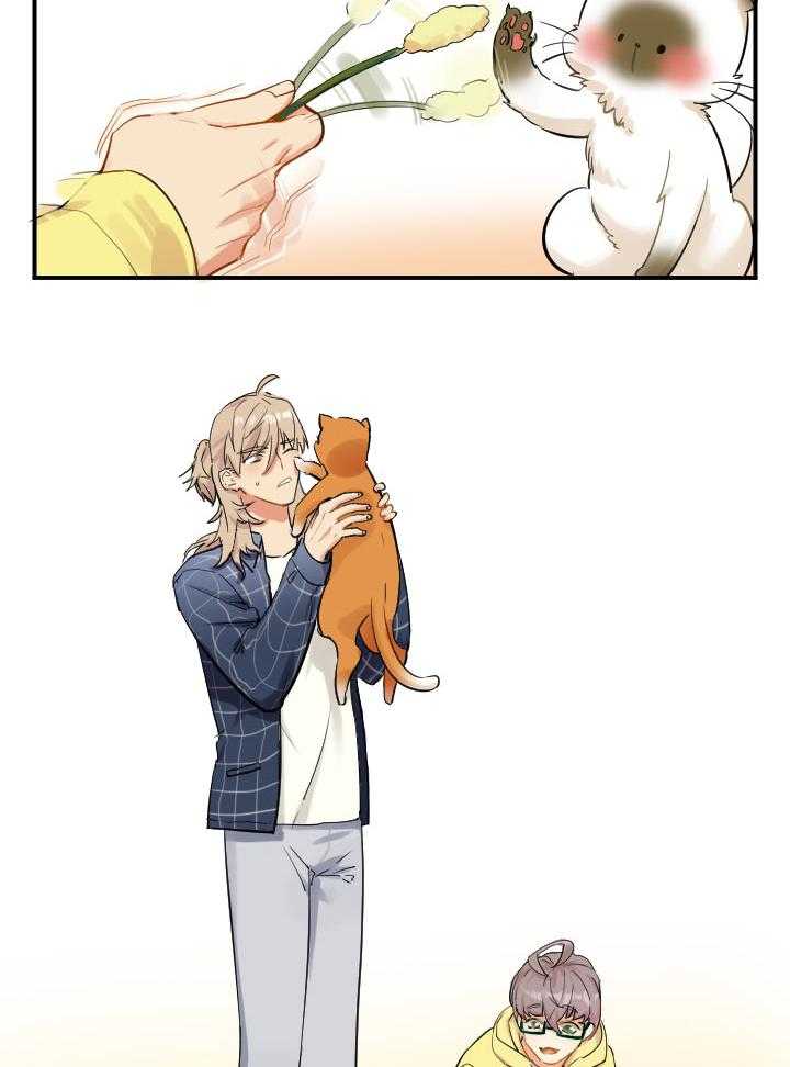 他与他的恶劣玩笑第44话图