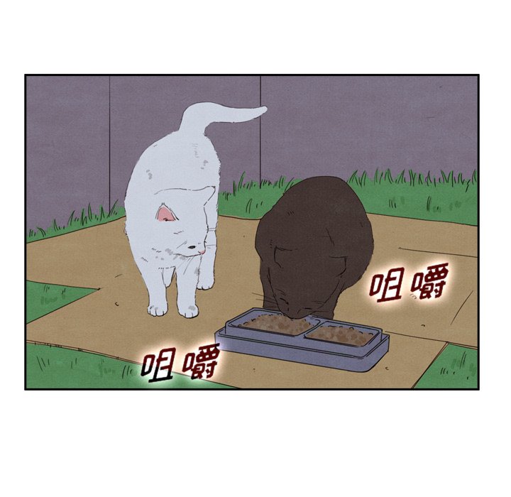 泰珠小姐的完美婚姻生活第43话图