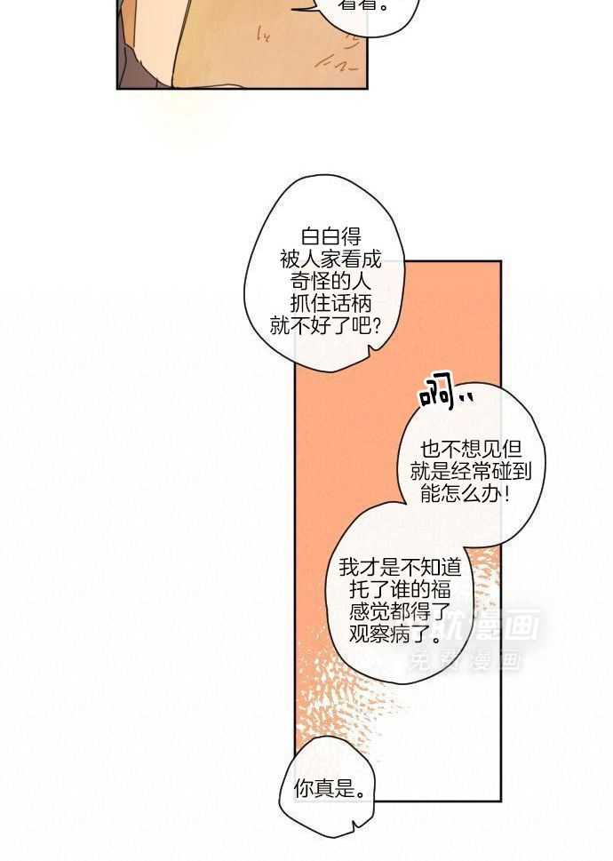 他们的单相思（共2季）第19话图