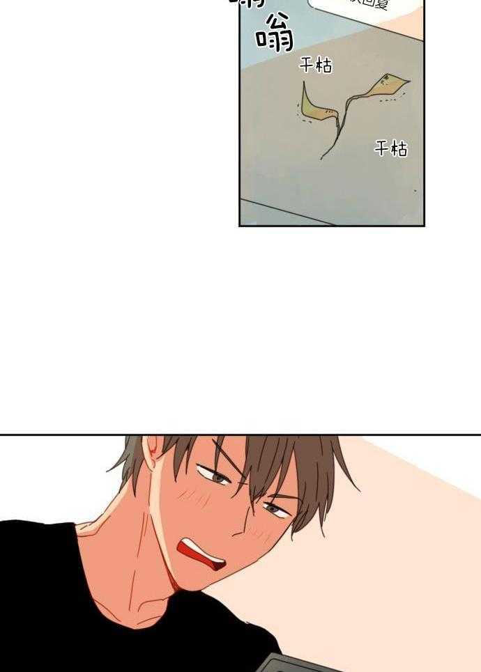 他们的单相思（共2季）第41话图