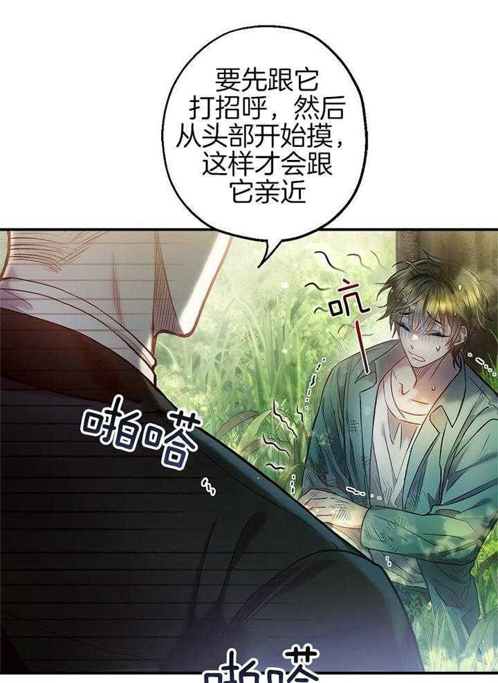 替身情人第11话图