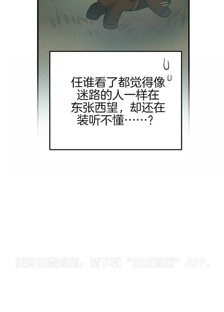 替身情人第11话图